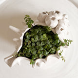 Barnacle Ceramic Shell Sculpture