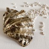 Brass Clam Shell Bowl