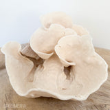 Turban Vase Coral