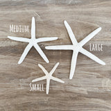 Finger Starfish