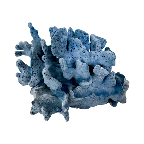 Blue Ridge Coral