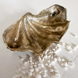 Brass Clam Shell Bowl