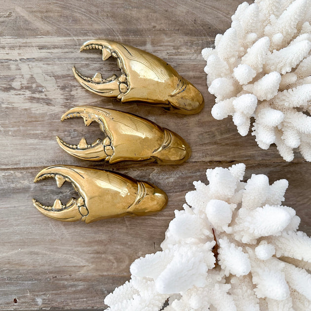 Hand Cast Crab Claw Bottle Opener