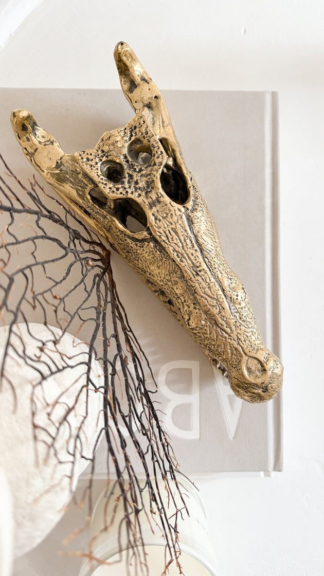 Clash the Brass Crocodile