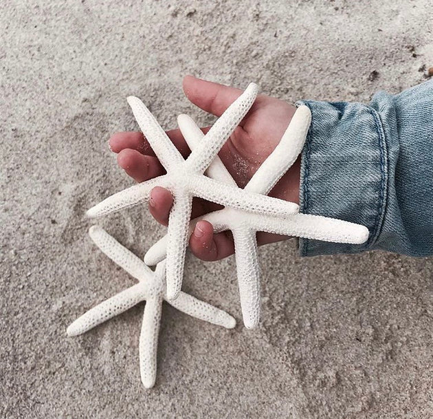 Finger Starfish