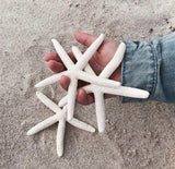Finger Starfish