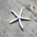 Finger Starfish
