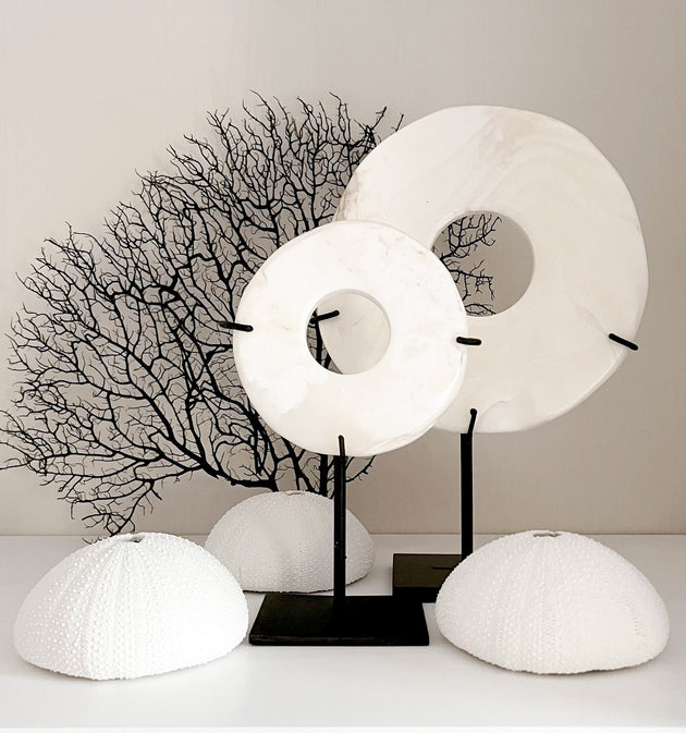 White Polyresin Sea Urchin Coral
