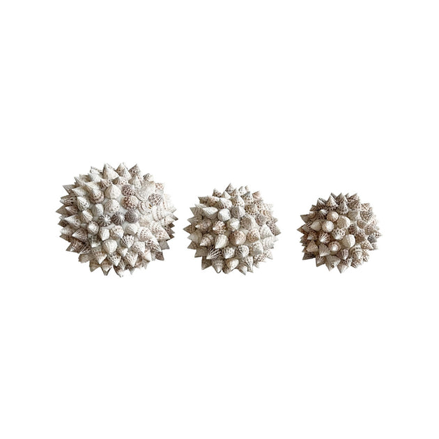 Spiked Shell Ball