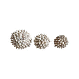 Spiked Shell Ball