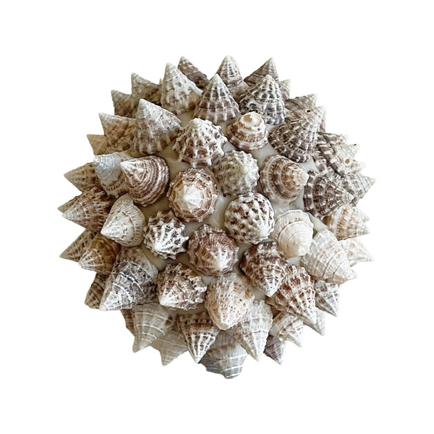 Spiked Shell Ball