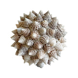 Spiked Shell Ball
