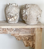 Barnacle & Shell Clustered Pots