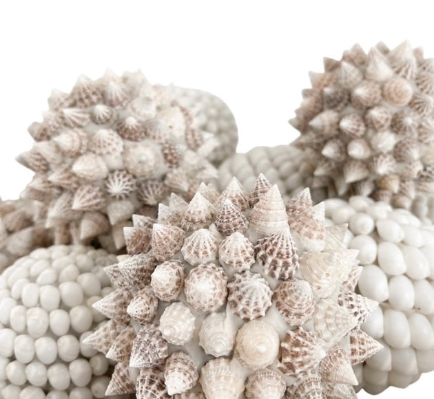 Spiked Shell Ball
