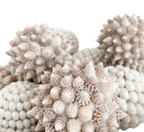 Spiked Shell Ball