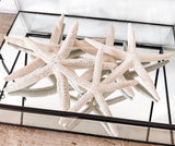 Finger Starfish