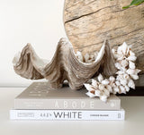 Shell Cluster Tassels - Spiked