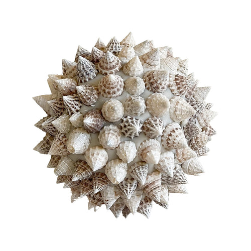 Spiked Shell Ball
