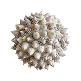 Spiked Shell Ball