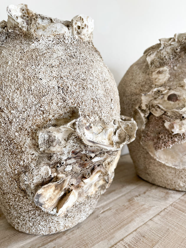 Barnacle & Shell Clustered Pots