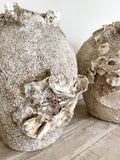 Barnacle & Shell Clustered Pots