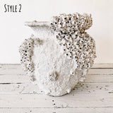 Barnacle Clustered Pots - Oversized