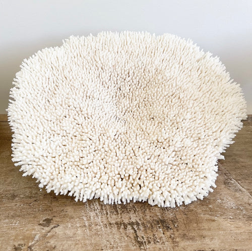 Authentic Coral - Plate Coral - Oversized