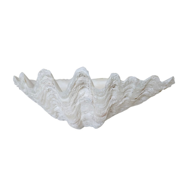Authentic Clam Shell