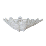 Authentic Clam Shell