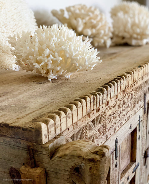 Authentic Coral Pieces - Birdsnest Coral