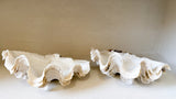 Authentic Clam - Matching Pair