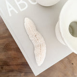 Authentic Fungia Coral - Long