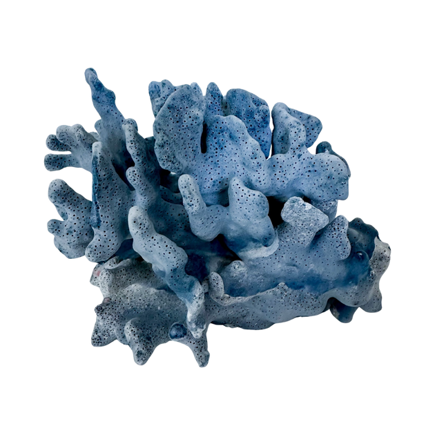 Blue Ridge Coral