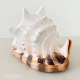 Horned Helmet Shell