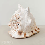 Horned Helmet Shell