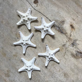 White Thorny Starfish