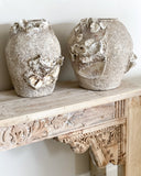 Barnacle & Shell Clustered Pots