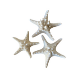 Thorny Starfish - XLGE