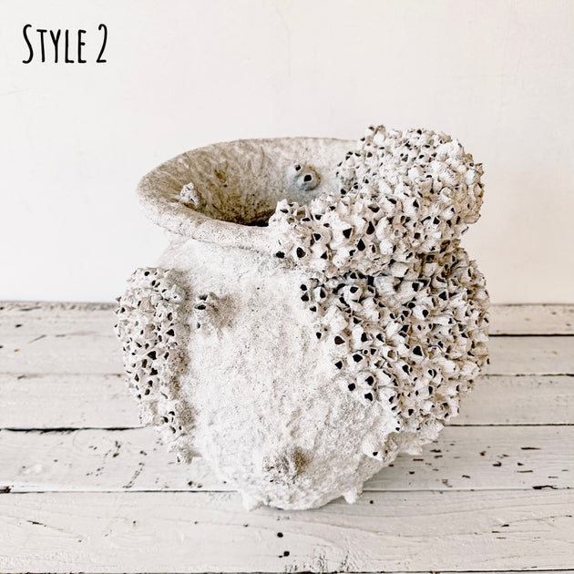 Barnacle Clustered Pots - Oversized