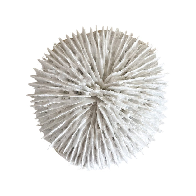 White Polyresin Fungia Coral