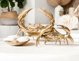 Mr Pinchy - Sea Crab