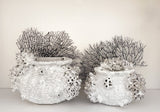 Barnacle Clustered Pots & Bowls - Various sizes